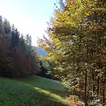 公寓 Amalia - Mit Wlan Und Sky In Traumhafter Lage 托特莫斯