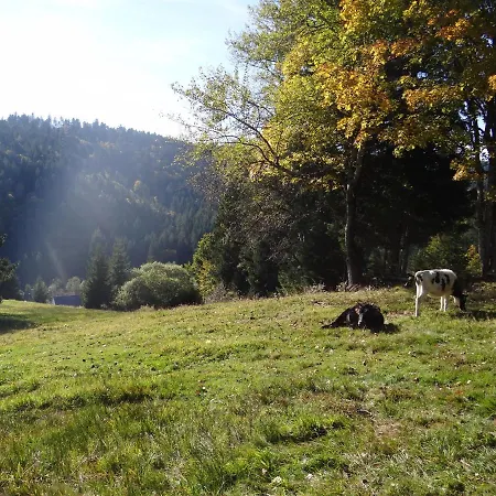 Amalia - Mit Wlan Und Sky In Traumhafter Lage *