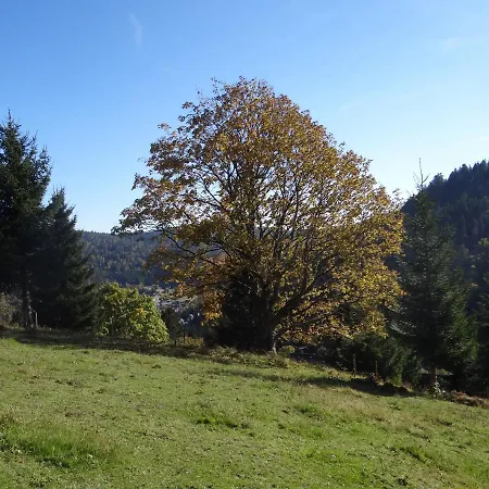 Amalia - Mit Wlan Und Sky In Traumhafter Lage Todtmoos