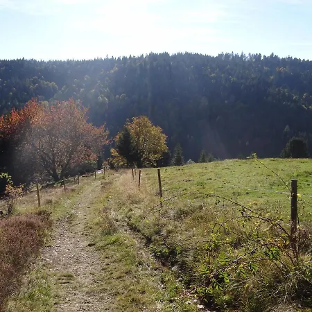 Amalia - Mit Wlan Und Sky In Traumhafter Lage * Todtmoos