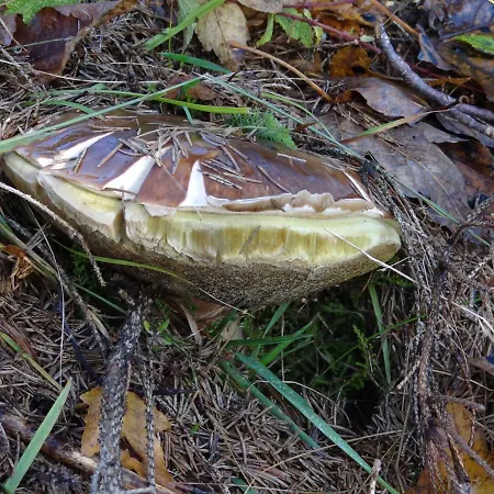 Amalia - Mit Wlan Und Sky In Traumhafter Lage Apartamento *