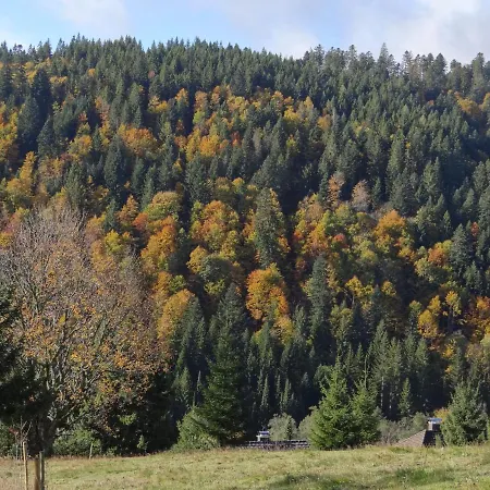 Apartamento Amalia - Mit Wlan Und Sky In Traumhafter Lage