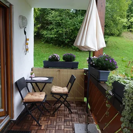 Amalia - Mit Wlan Und Sky In Traumhafter Lage Daire Todtmoos